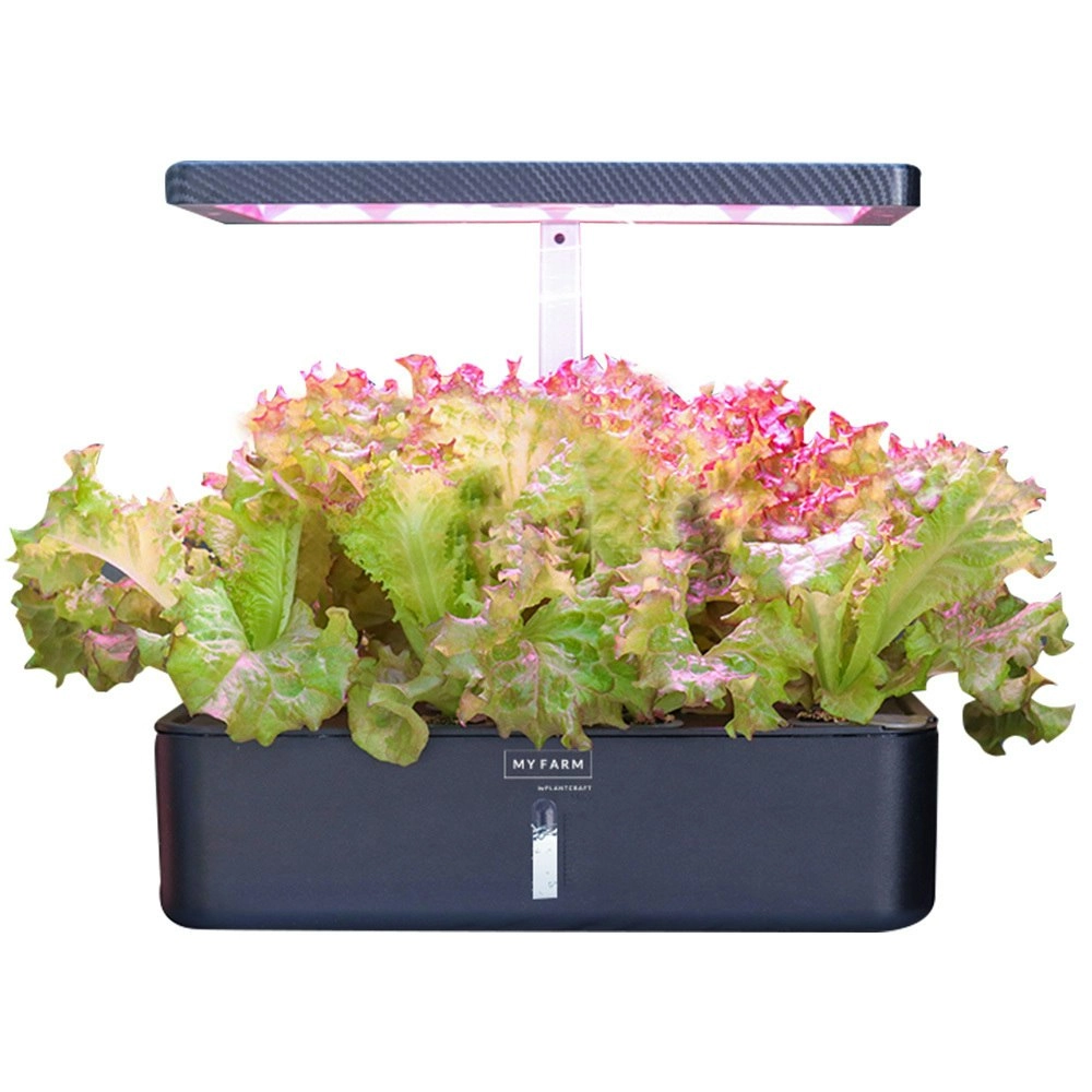 PlantCraft 12 Pod Indoor Hydroponic Growing System, with Water Level Window & Pump, Black