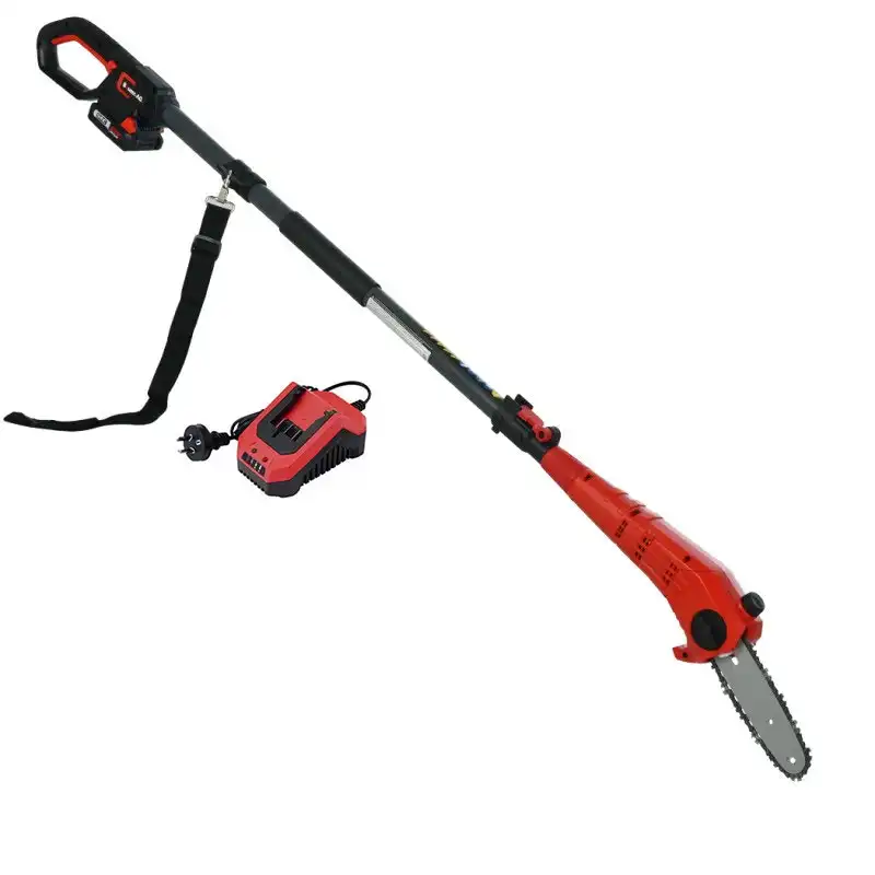 BAUMR-AG 20V Cordless Line Trimmer Electric Whipper Snipper & Leaf