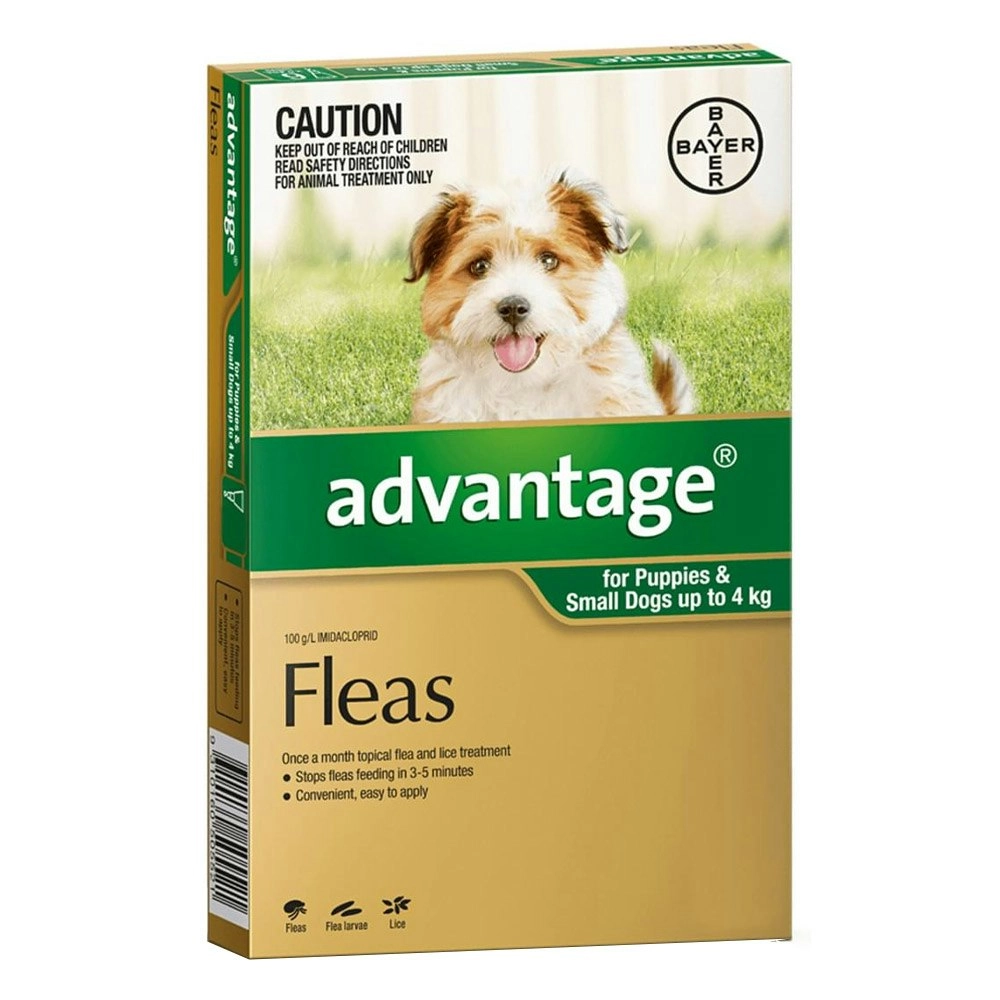 Advantage For Small Dogs Up To 4Kg (Green) 12 Pack