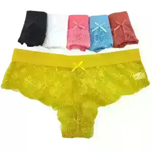 6 x Womens Sheer Nylon / Cotton Briefs - Assorted Colours Underwear Undies  89428 - Multicoloured