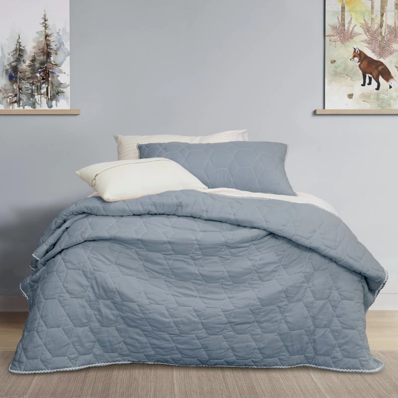 Jelly Bean Kids Bolston Pale Blue Coverlet Set