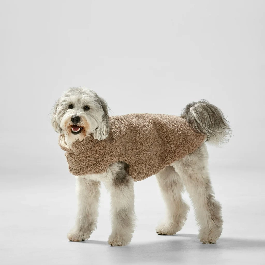 Reversible Teddy Sweater Fawn / Natural L