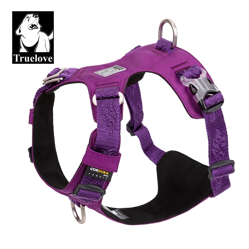 Envy Harness