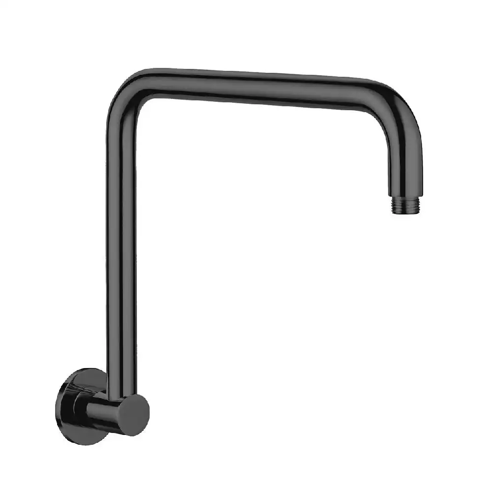 Fienza Round Fixed Gooseneck Arm Only 350mm Matte Black 422112