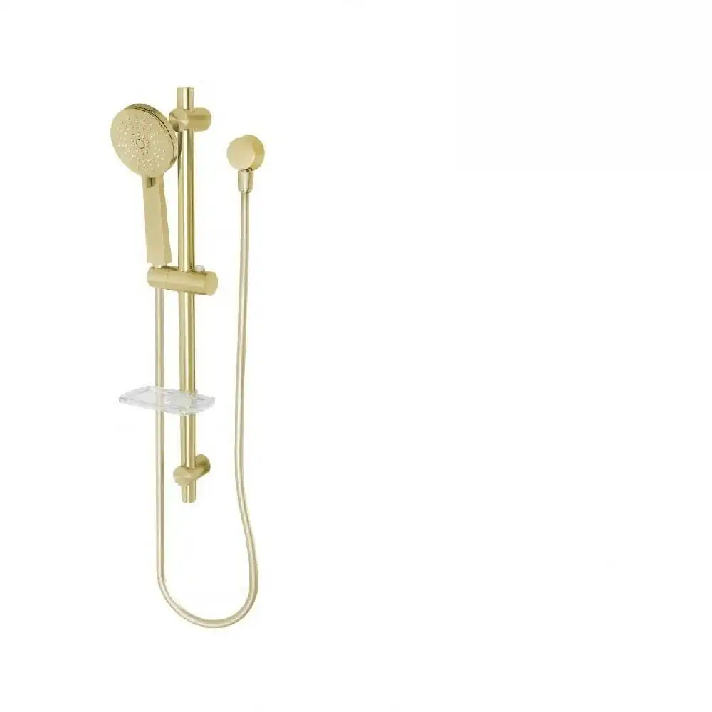 Phoenix Vivid Rail Shower Brushed Gold V685-12