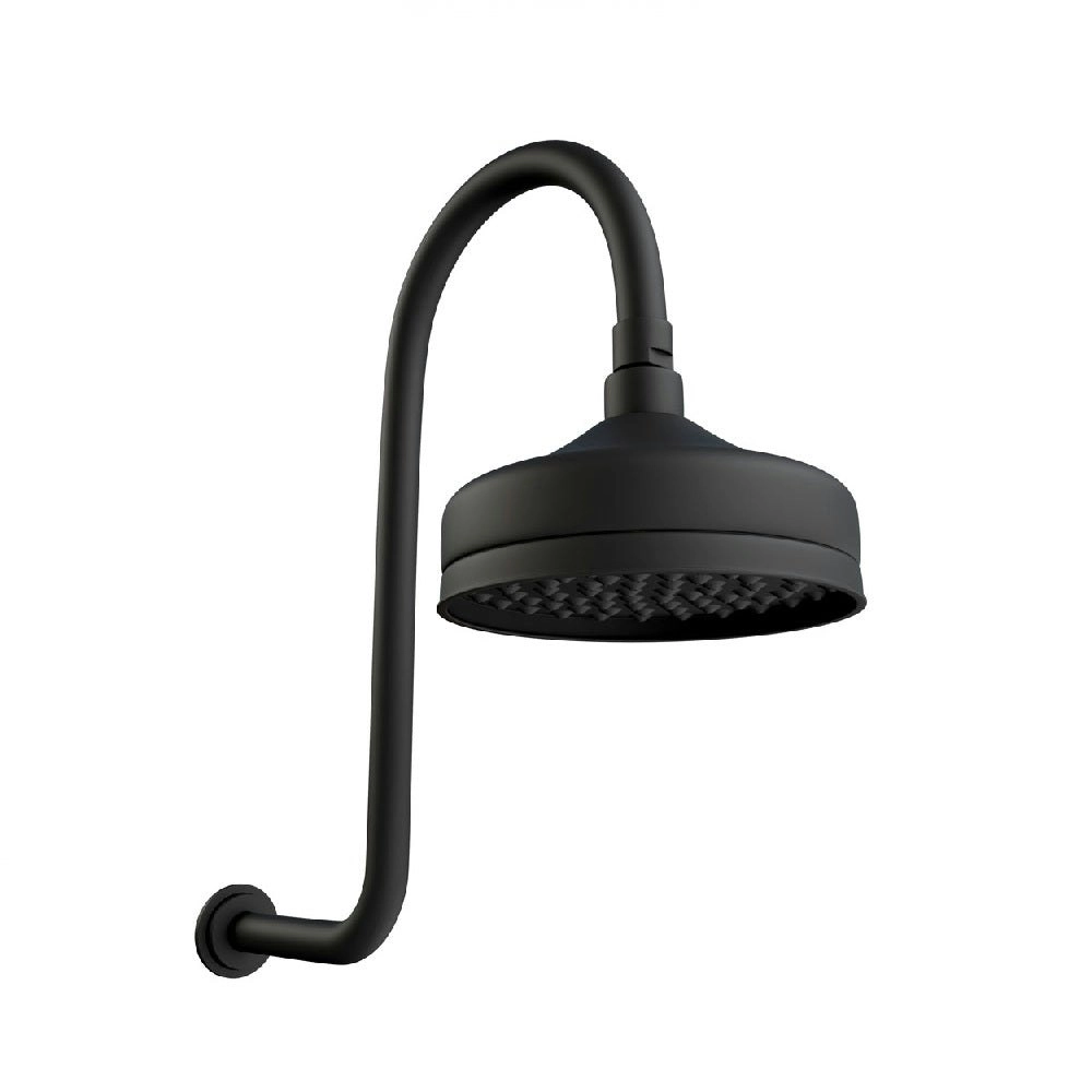 Fienza Lillian Shower Set Matte Black 411138B-A