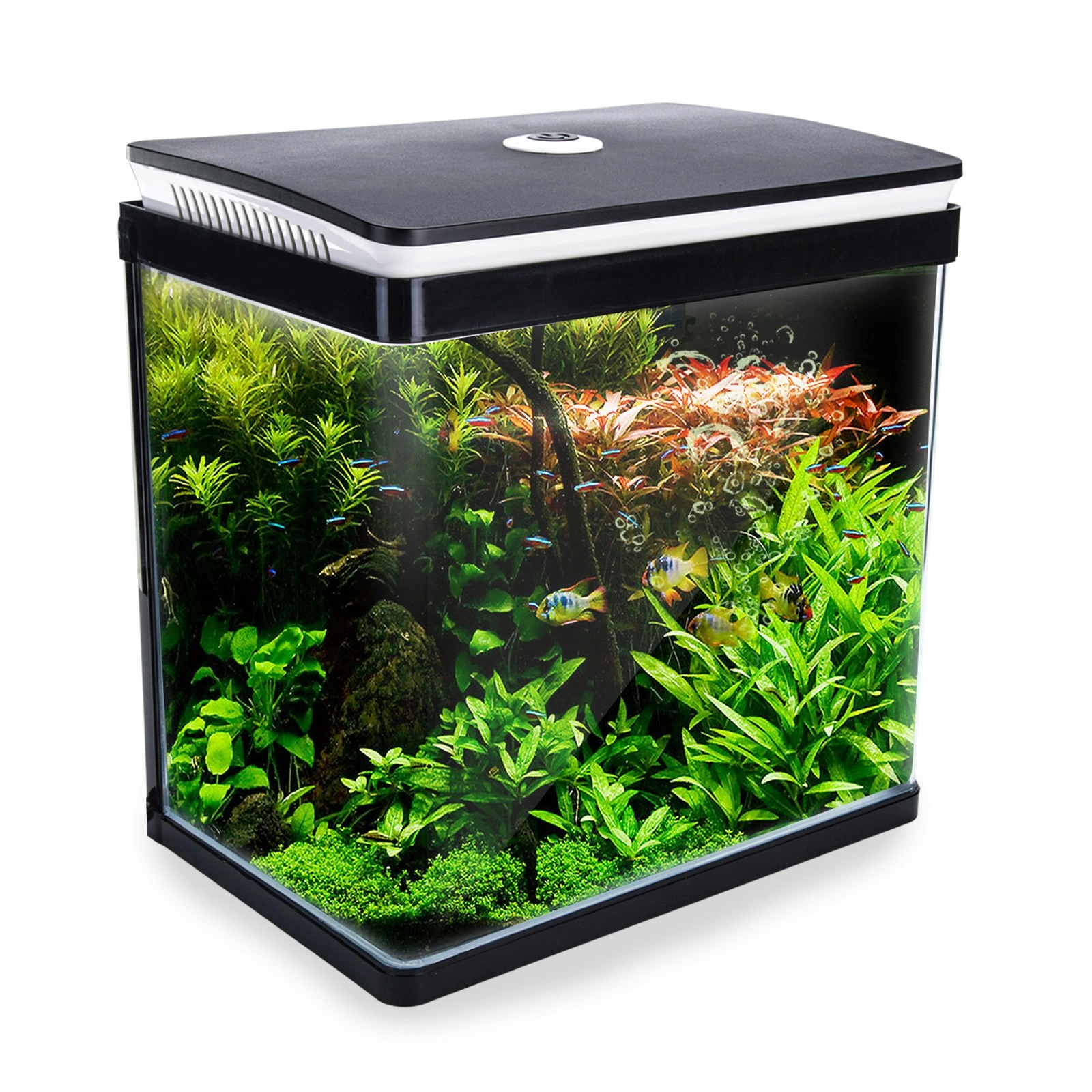 30L Curved Glass RGB LED Aquarium Fish Tank