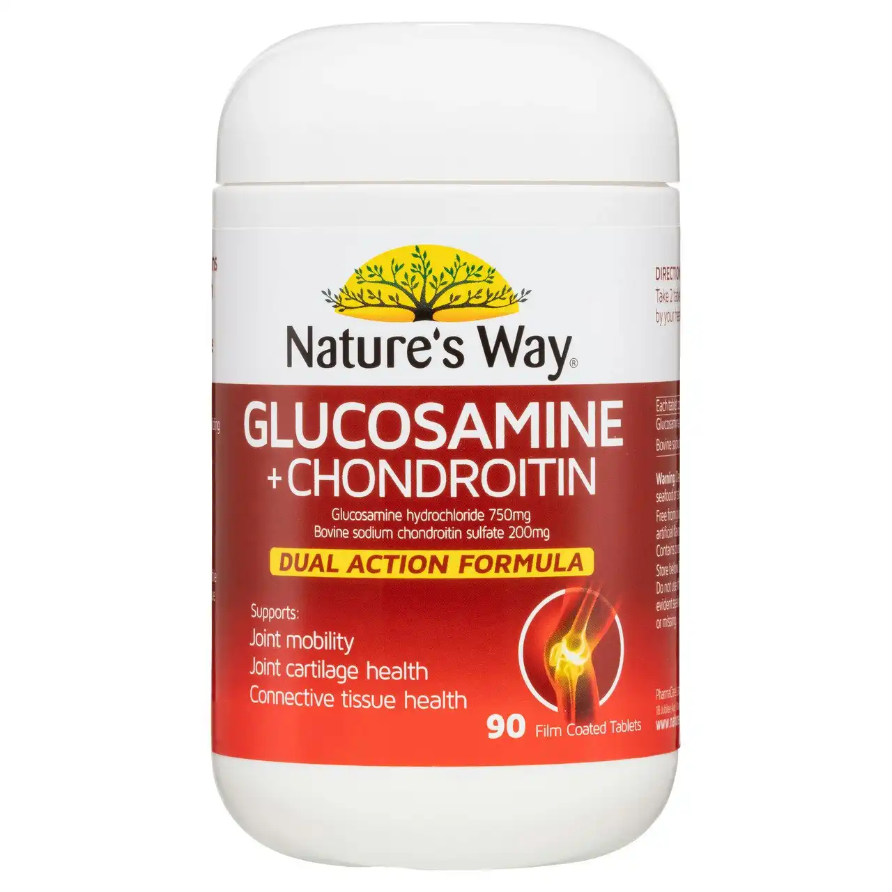 Nature's Way Glucosamine and +  Chondroitin 90s