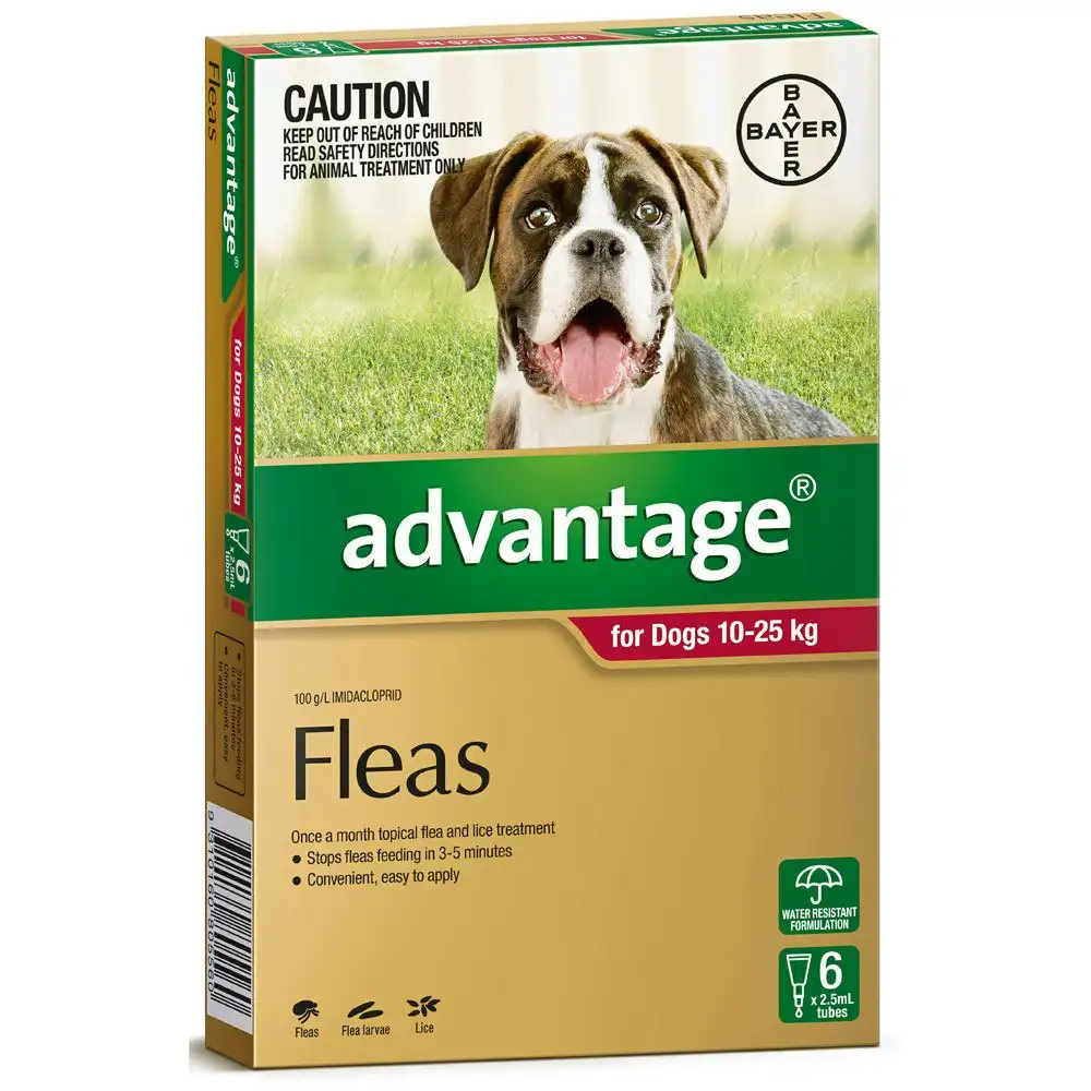 Advantage(TM) Fleas for Dogs 10 - 25kg - 6 Pack