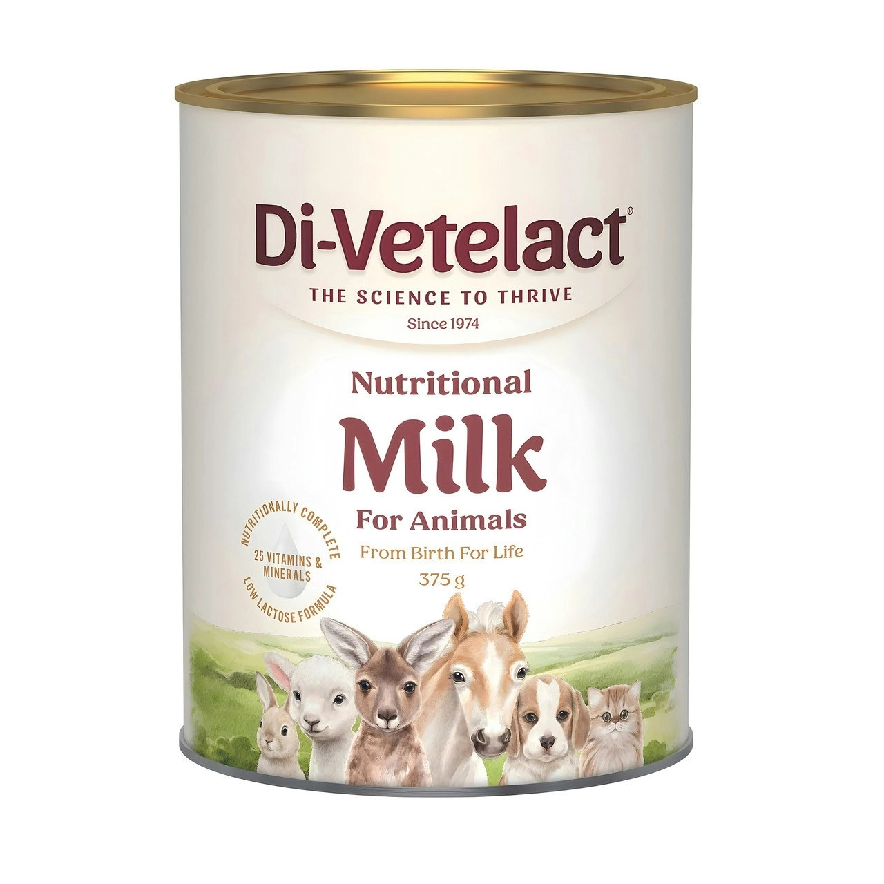 Divetelact 375g