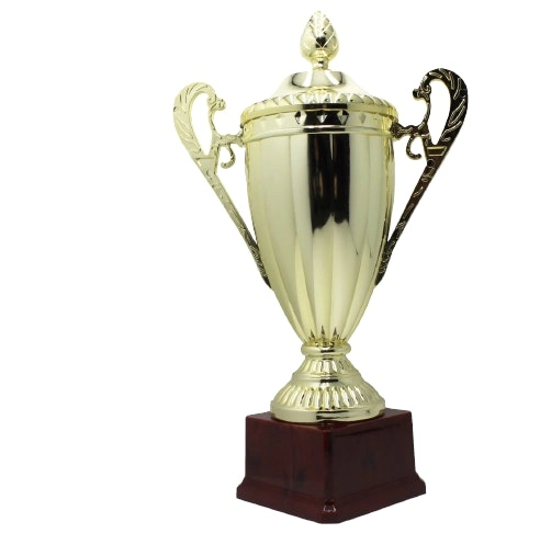 Large Classic Gold Trophy Cup Novelty Winners Prize Solid Achievement Award