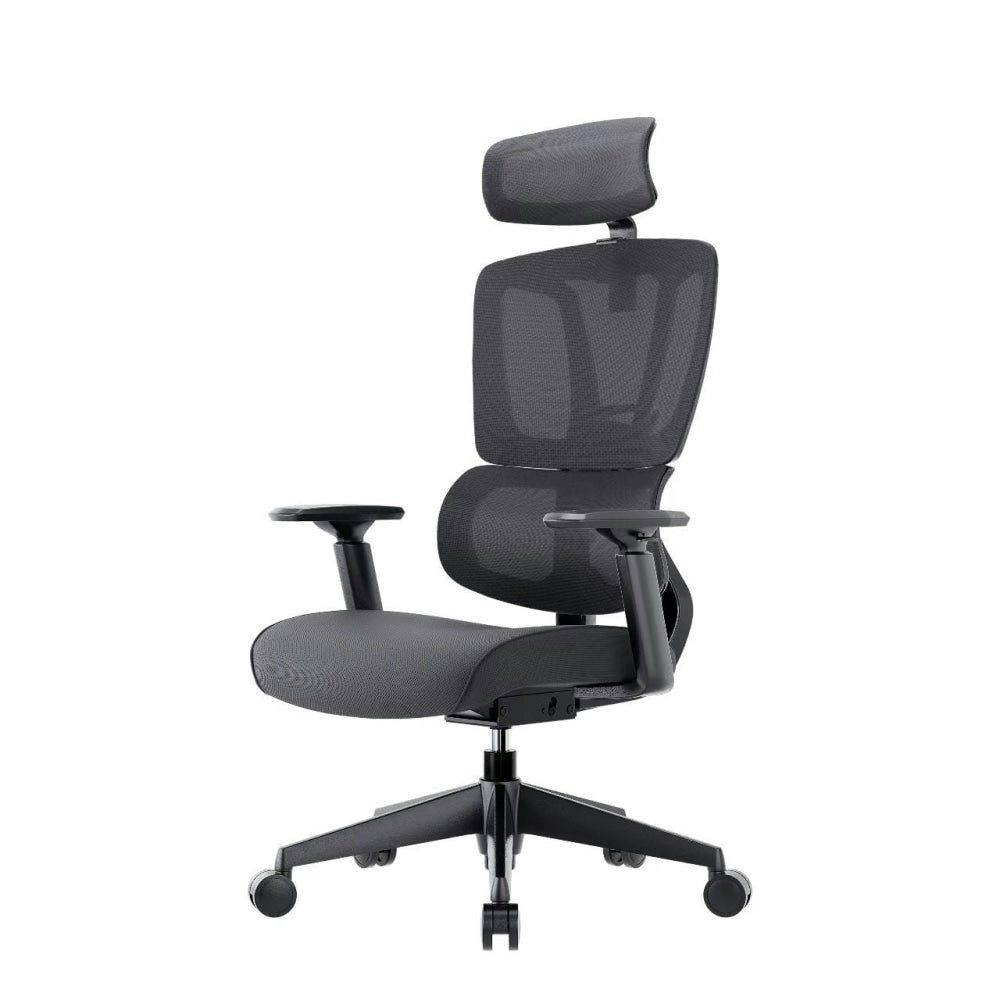 Maestro Furniture MECCA Ergonomic Double Mesh Back & Fabric Seat Manager Computer Office Task Chair - Black