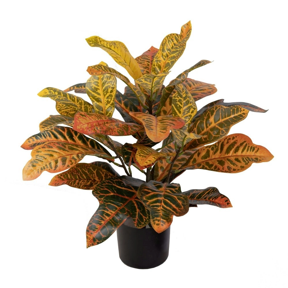 Glamorous Fusion Croton Plant Artificial Faux Plant Decorative 50cm