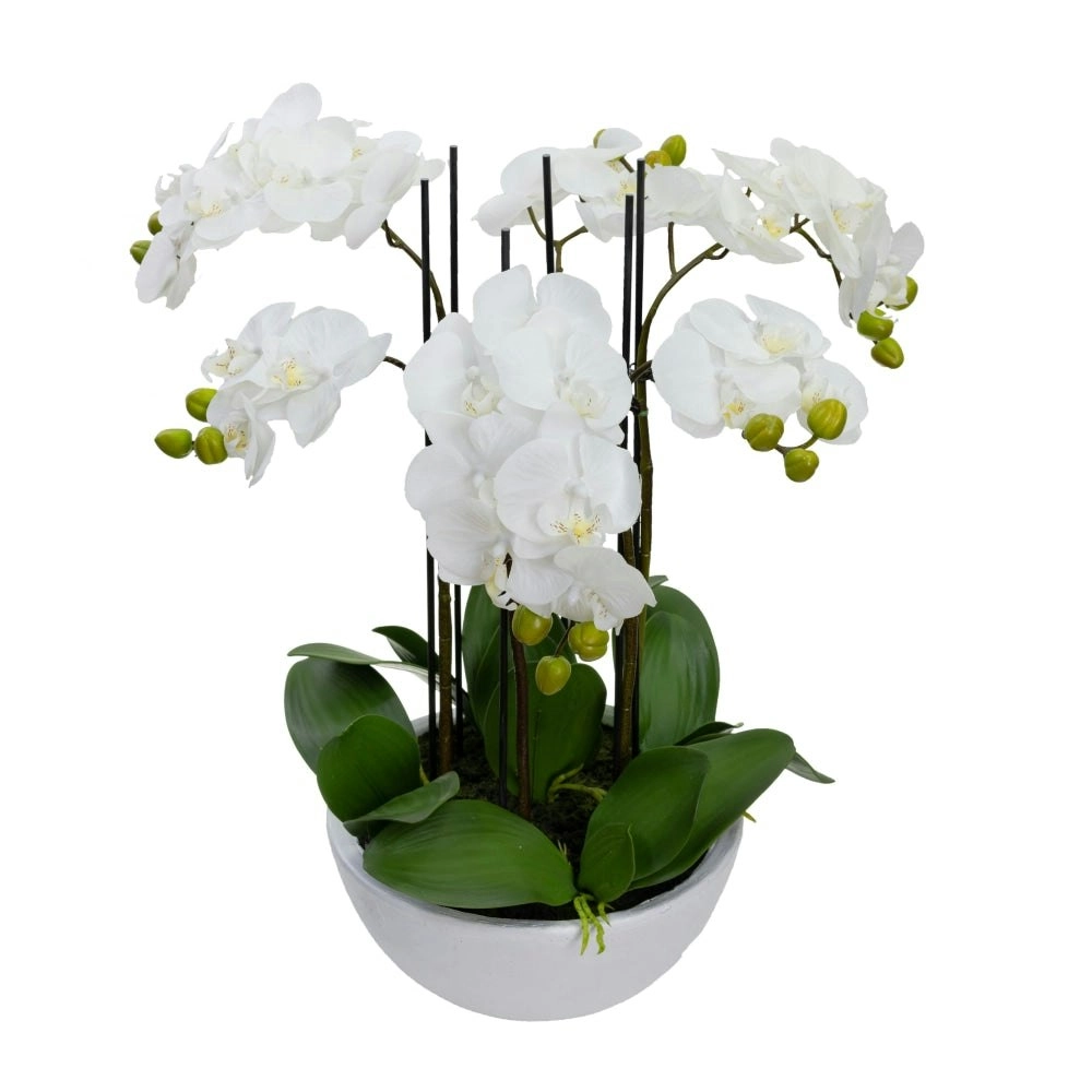 Glamorous Fusion Phalaenopsis Orchid Artificial Plant Flower Decorative 55cm Ceramic Pot - White