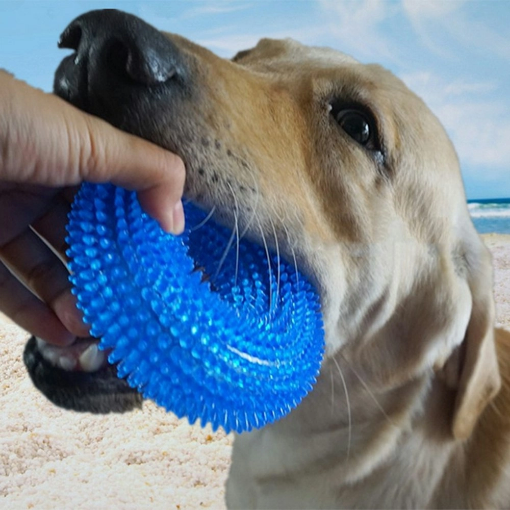 Durable Dog Squeaky Chew Toys for Chewers Dental Teething Cleaning