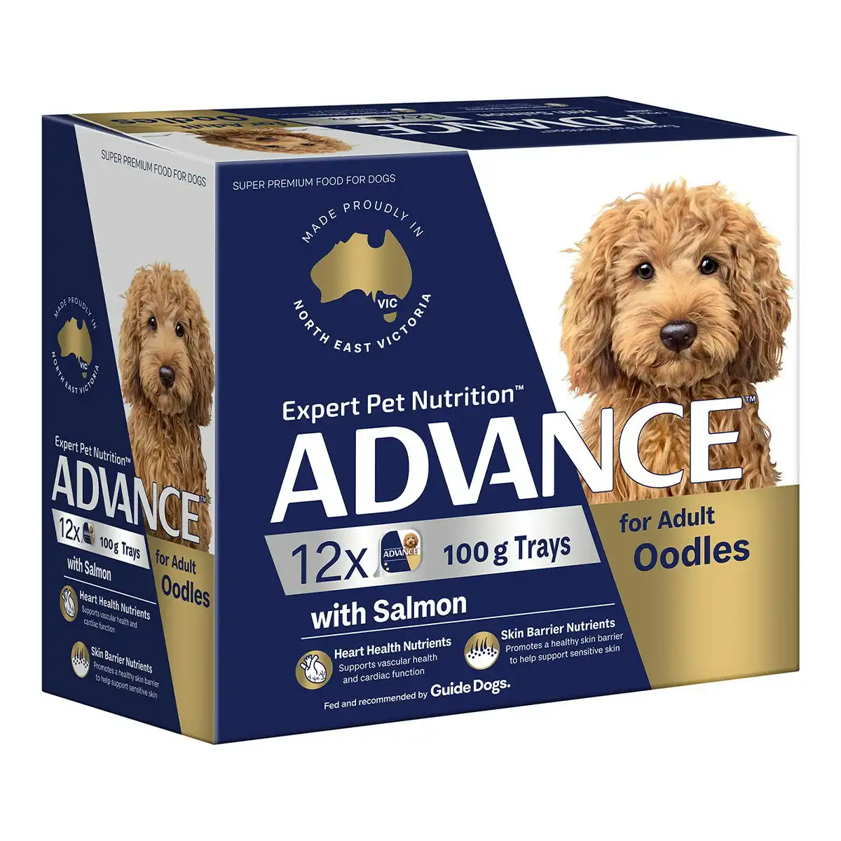 ADVANCE Oodles Adult with Salmon Trays Wet Dog Food (100G*12) 1 Pack