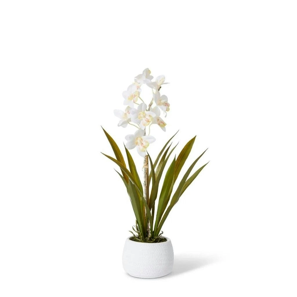 Elme Cymbidium Hybrid Dimple Pot - White/White - 28x28x48cm