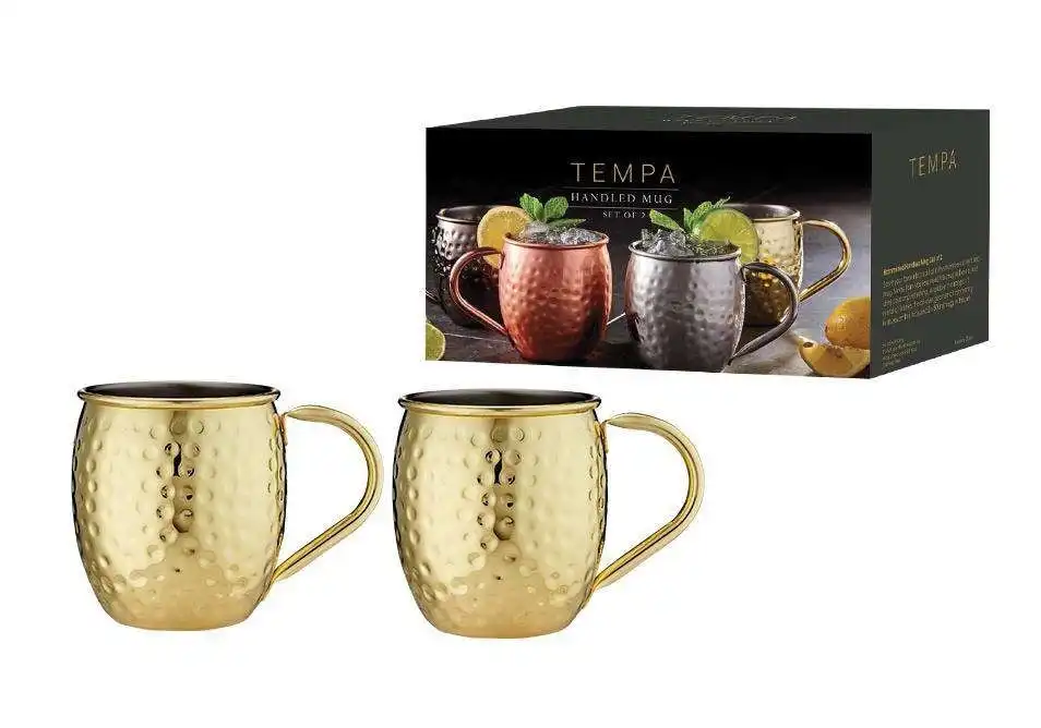 Tempa Spencer Hammered Gold Handled 2pk Mug