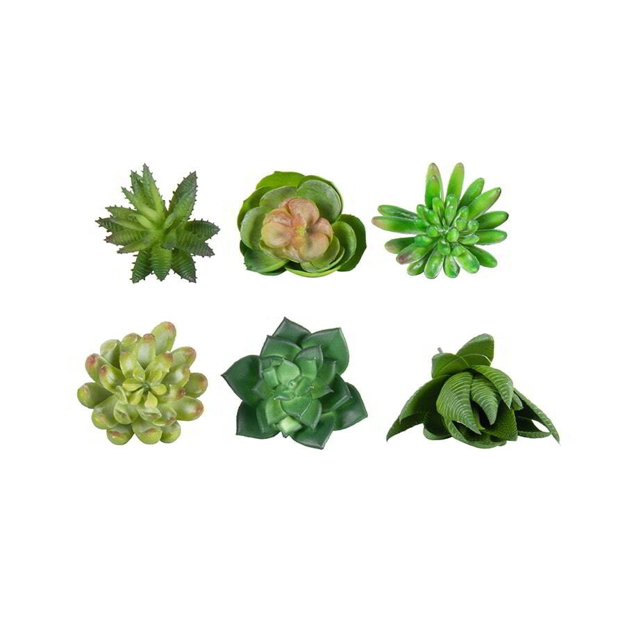 Willow & Silk Artificial 5cm Set of 6 Assorted Succulent Stem Plant