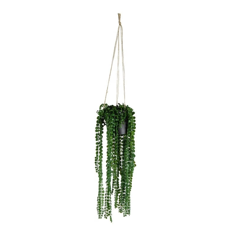 Willow & Silk Artificial 75cm Coin Leaf Peperomia Hanging Plant