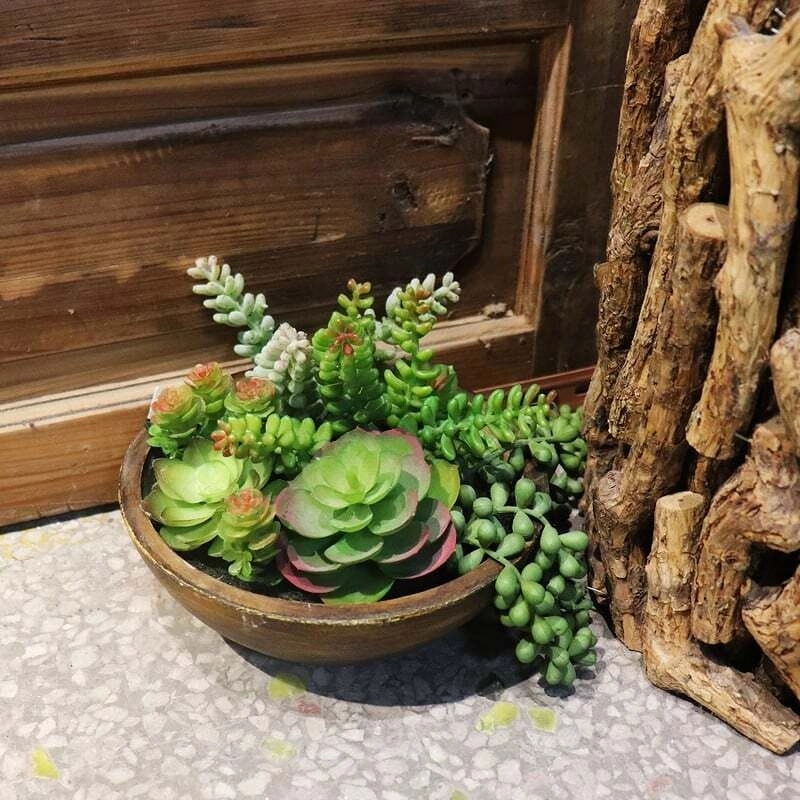 Willow & Silk Artificial 20.5cm Green Succulent Plant in Bowl/Pot