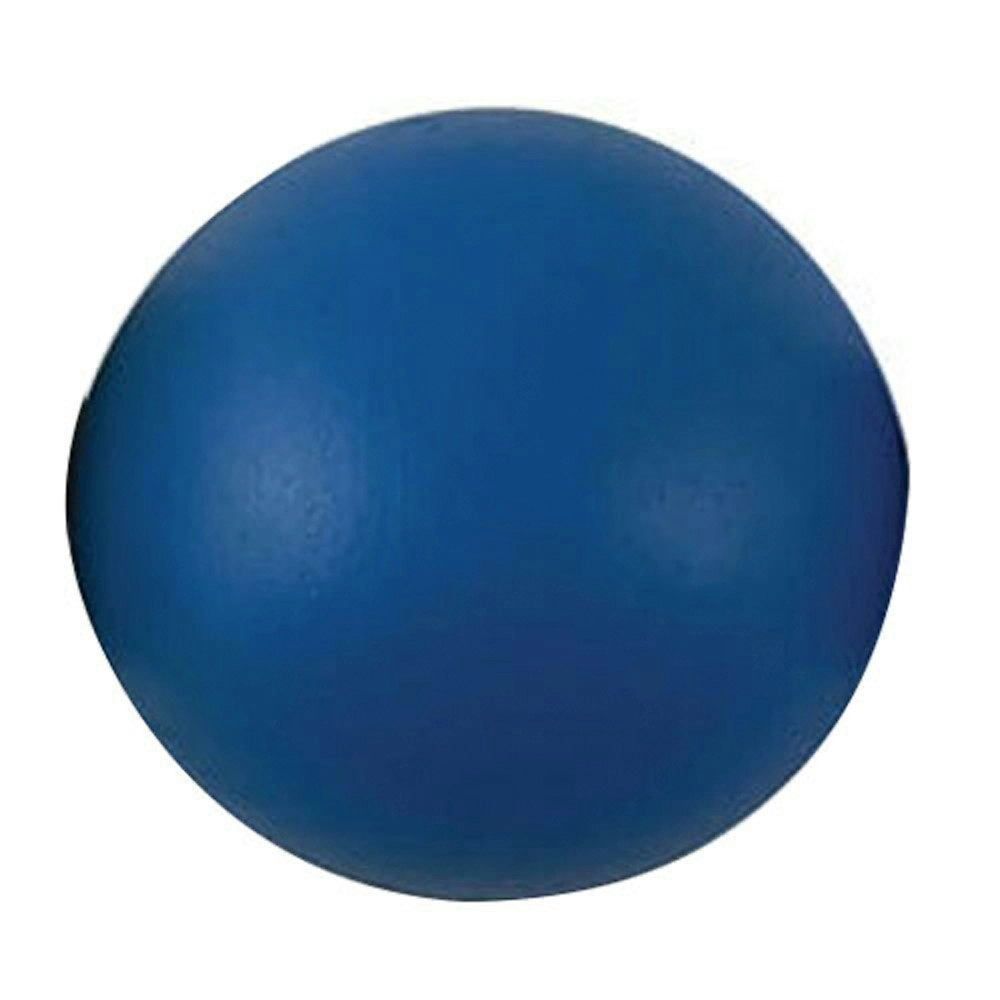 Regent 4kg Shot Puts Round Track & Field Sports Practice/Training Equipment