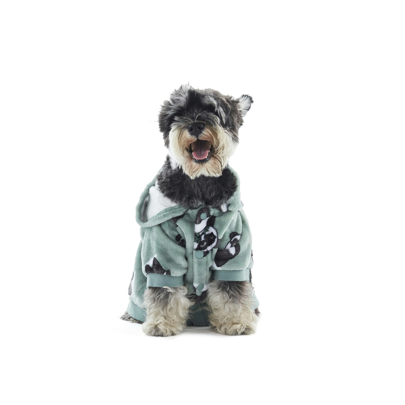 Charlie's Uggo Pand-UH! Dog Hoodie Sage Small