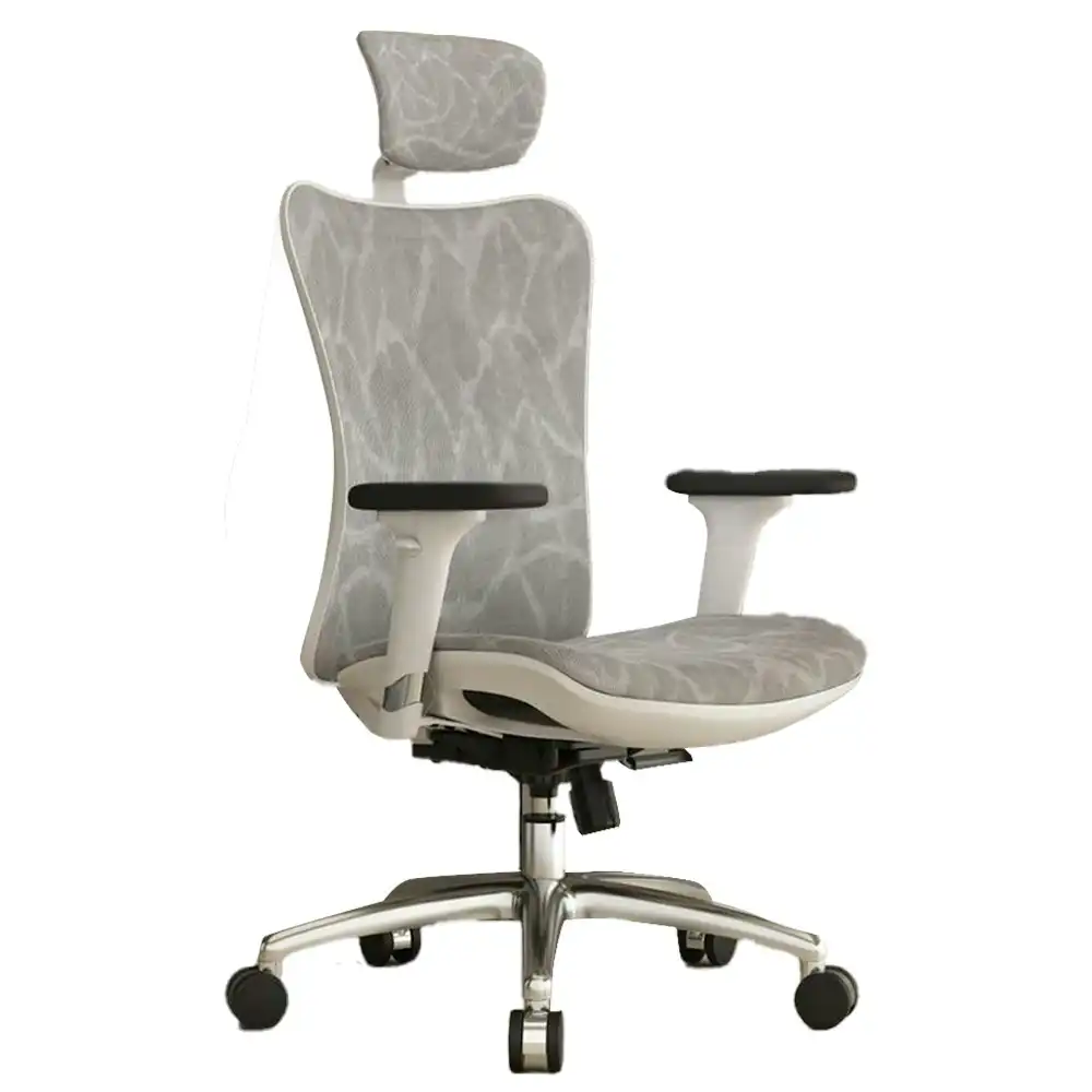 SIHOO M57 Ergonomic Office Chair with Premium Mesh Seat, Headrest, Armrest and Backrest Lumbar Support - Grey