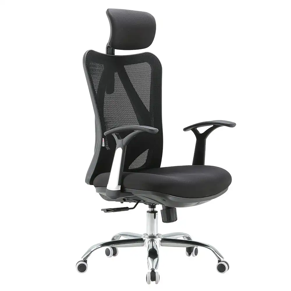 SIHOO M16 Ergonomics Home Office Chair with Headrest