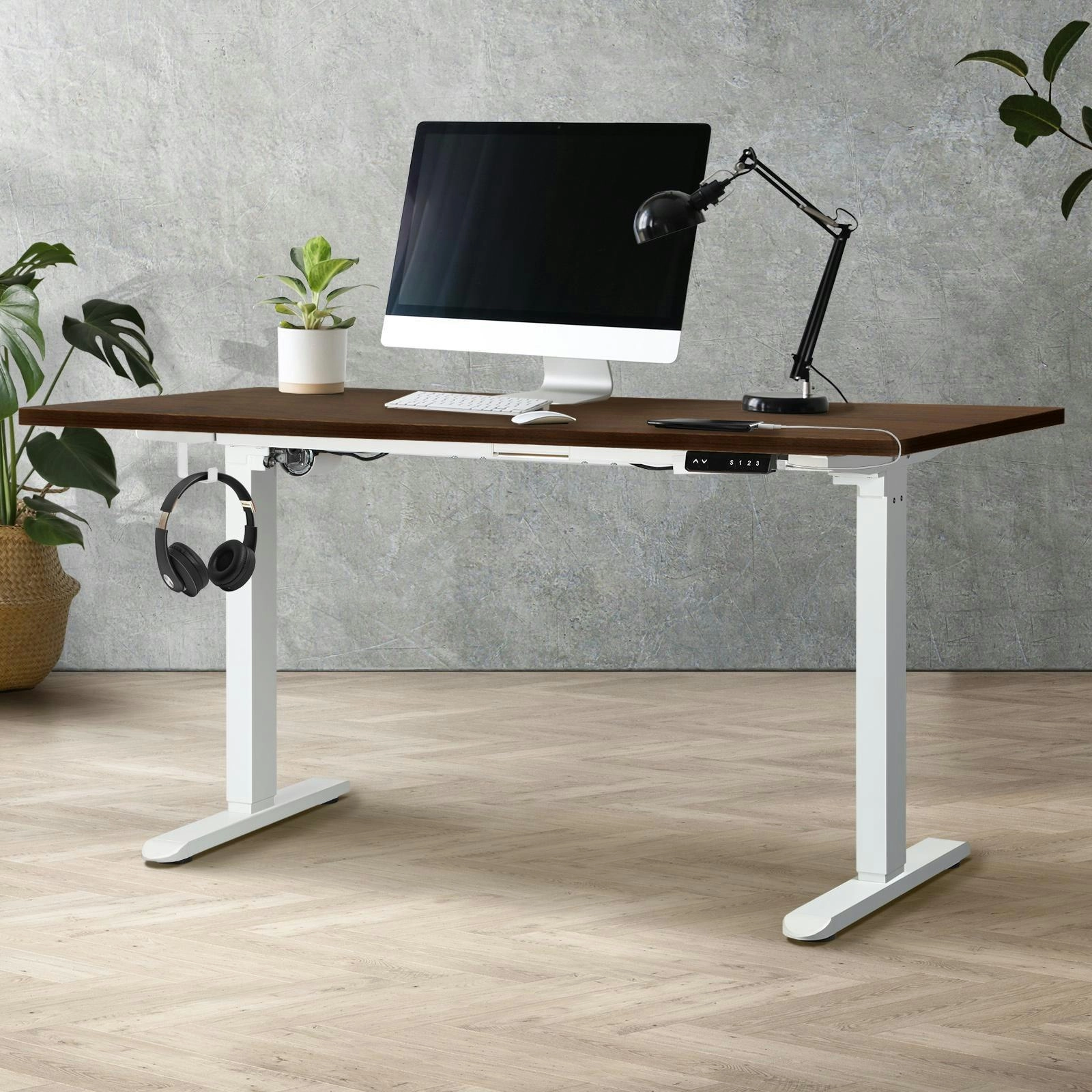 Oikiture 160cm Electric Standing Desk Single Motor Height Adjustable Motorised Sit Stand Desk Rise Walnut