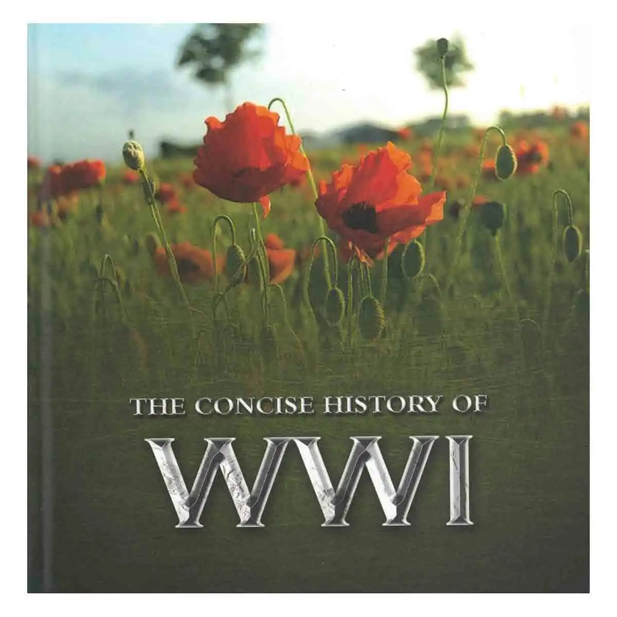 Promotional The Concise History Of Wwi