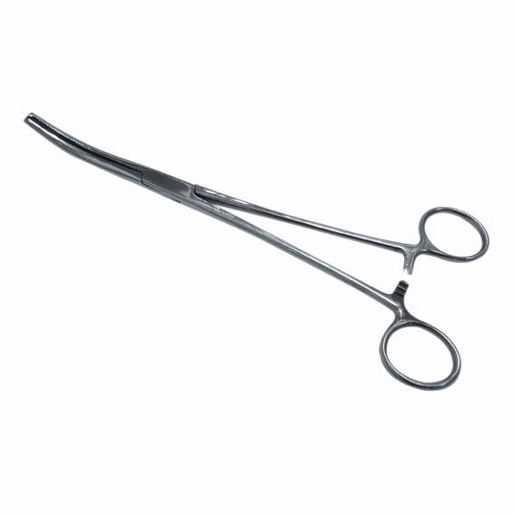 Livingstone Kocher Haemostatic Artery Forceps 16cm 1 x 2 Teeth 40 Grams Curved Stainless Steel