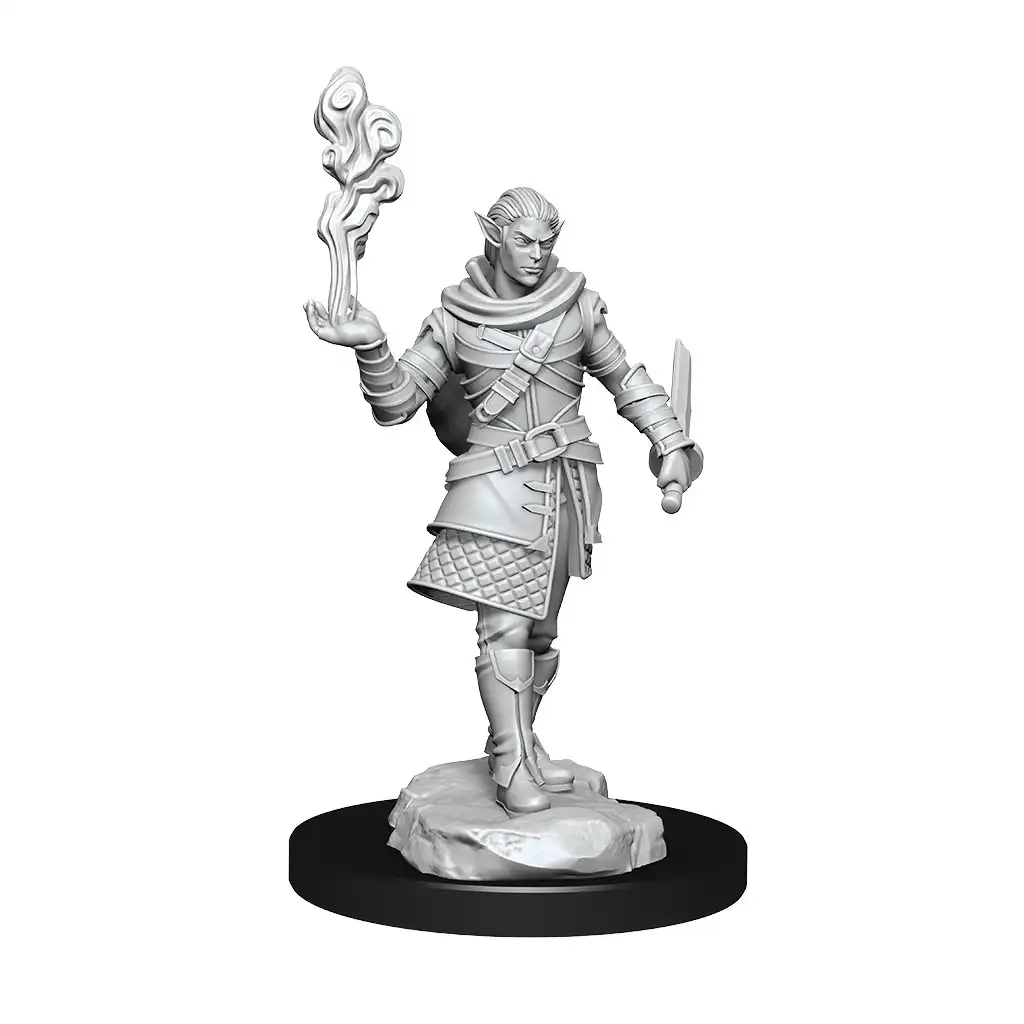 Critical Role Unpainted Miniatures Pallid Elf Rogue and Bard Male