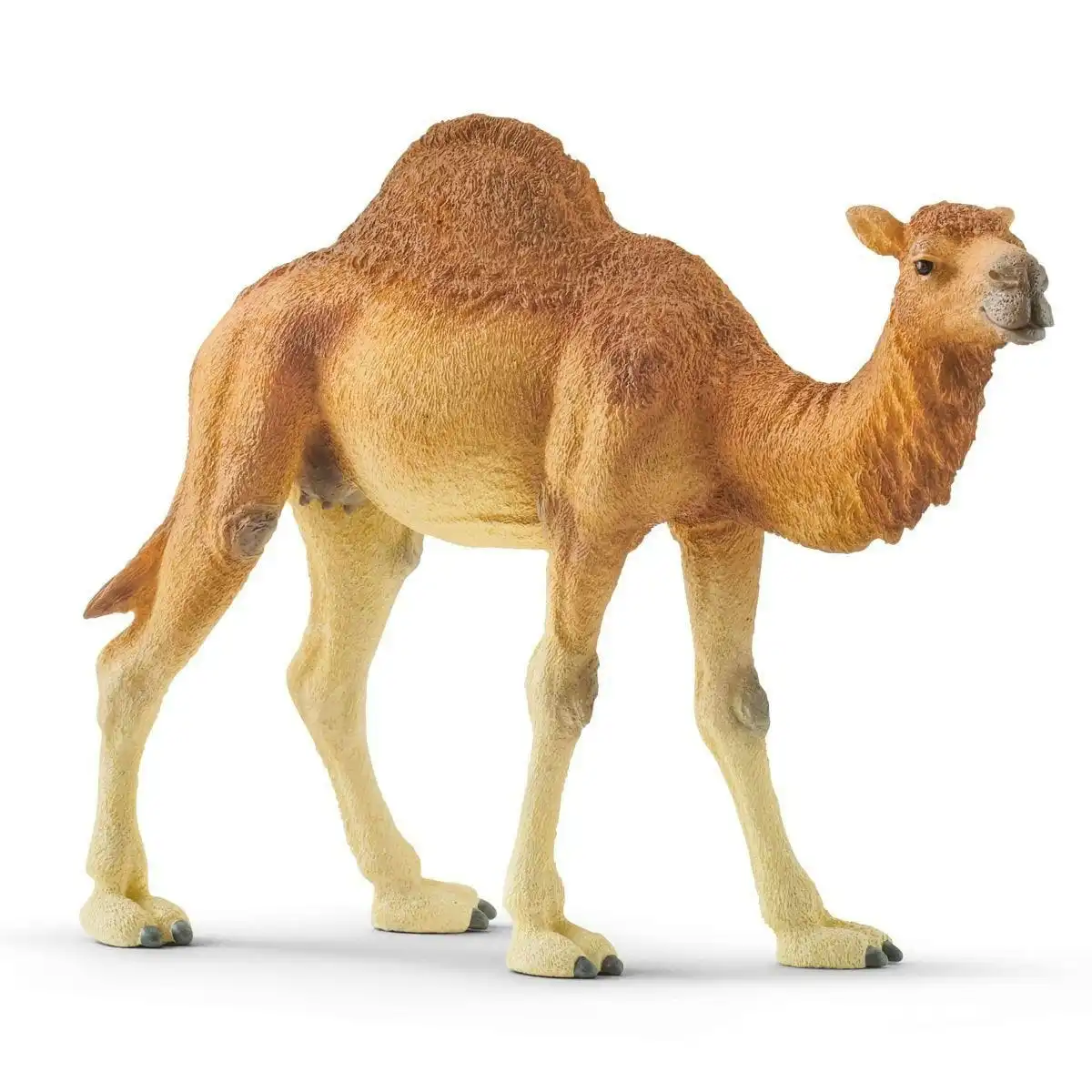 Schleich - Dromedary Figurine