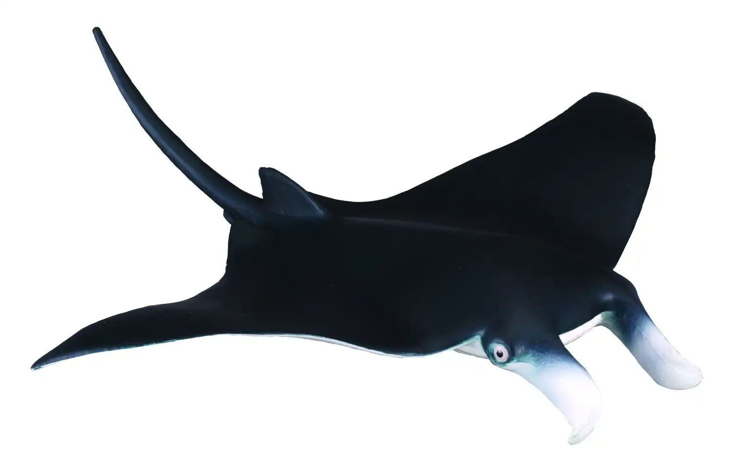 Collecta - Manta Ray Animal Figurine