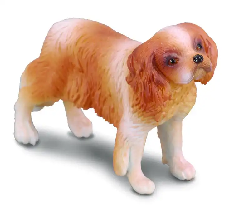 Collecta - Cavalier King Charles Spaniel Dog Animal Figurine