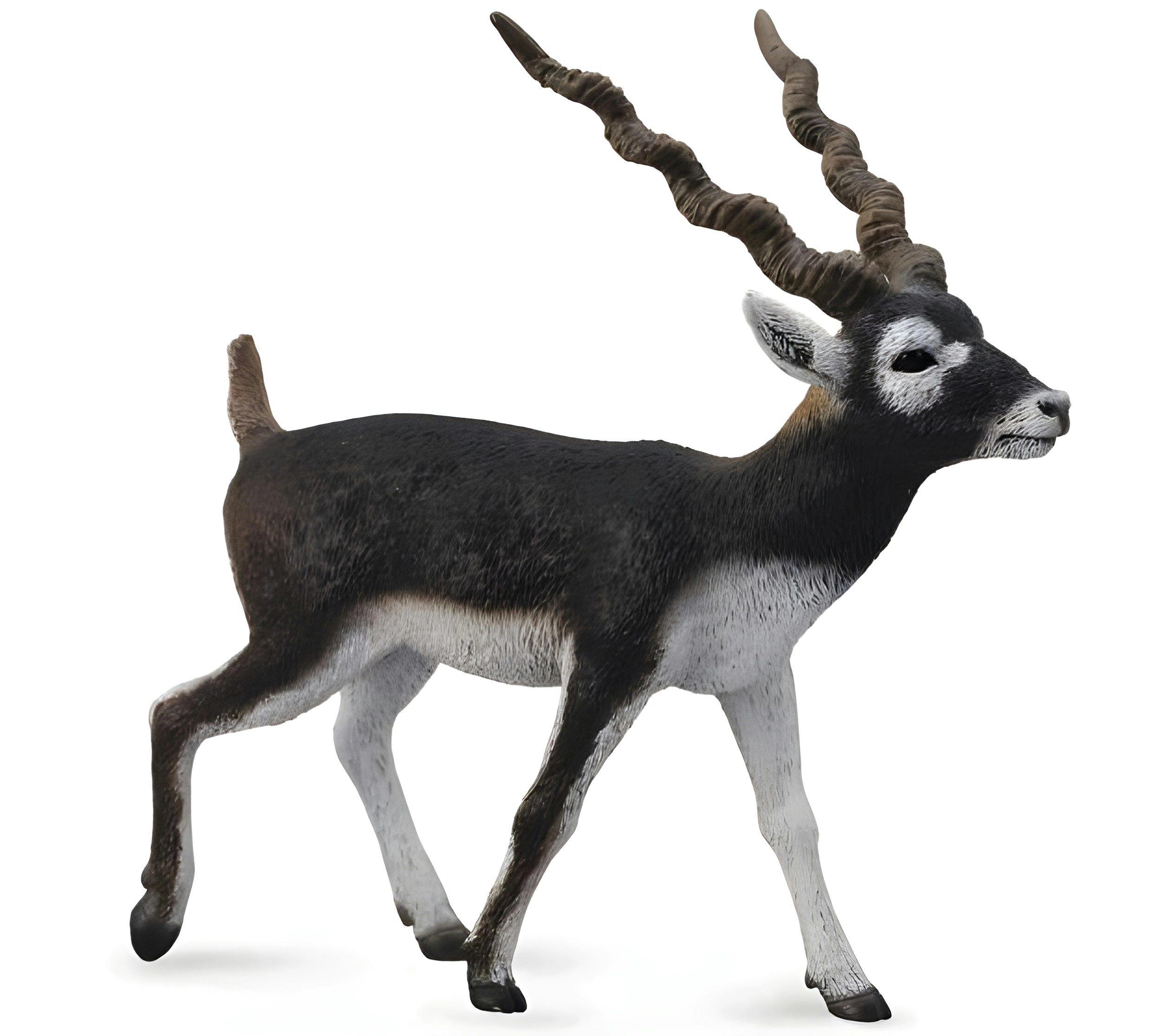 Collecta - Blackbuck Large Animal Figurine