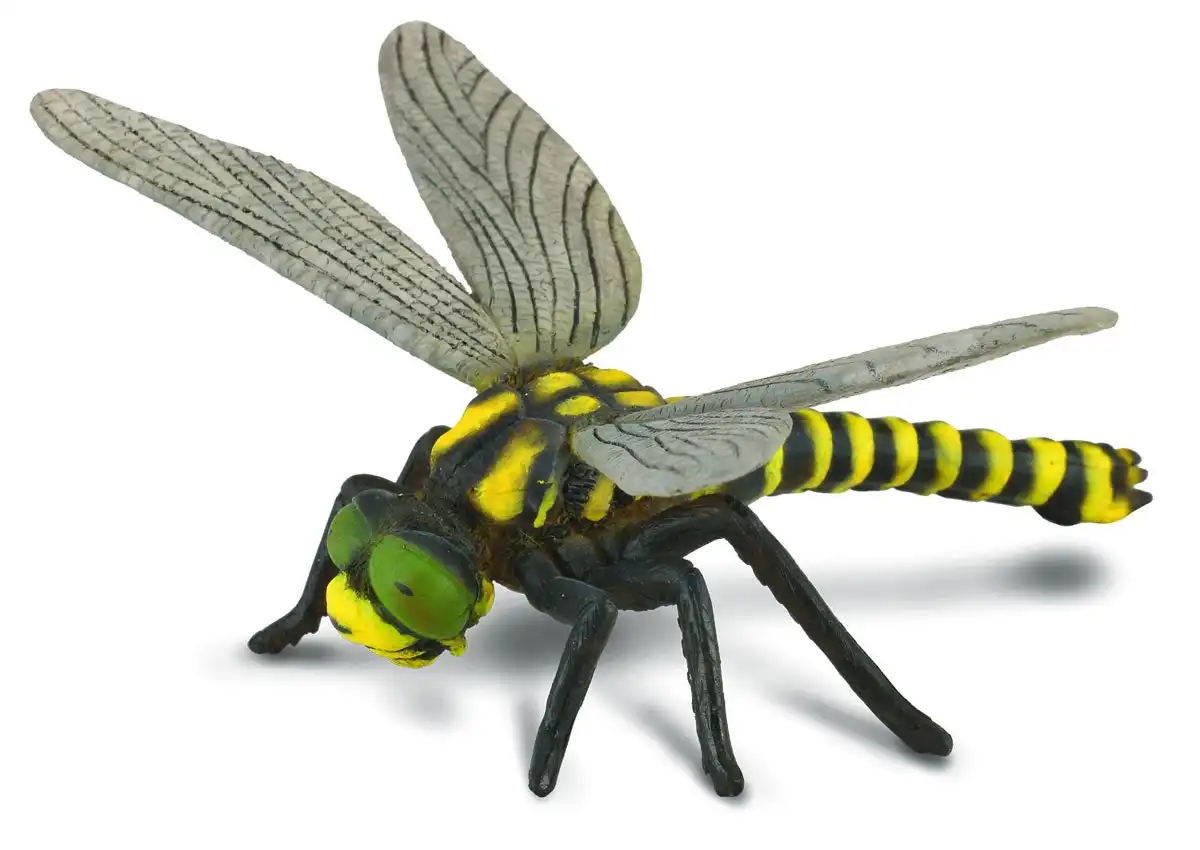 Collecta - Golden Ringed Dragonfly Animal Figurine