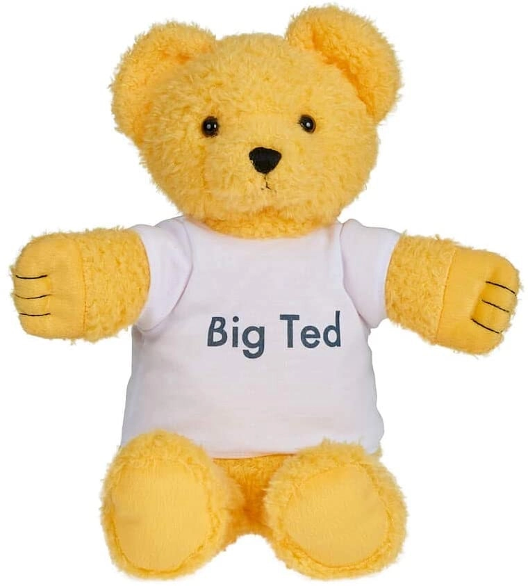 Play School Big Ted Plush