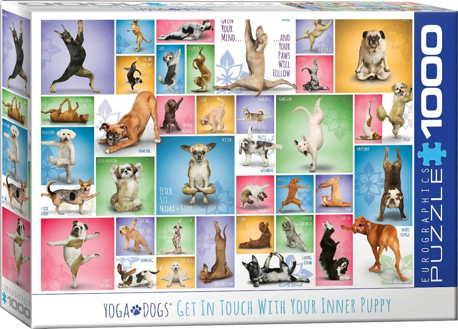 Eurographics - Yoga Dogs - Jigsaw Puzzle 1000pc