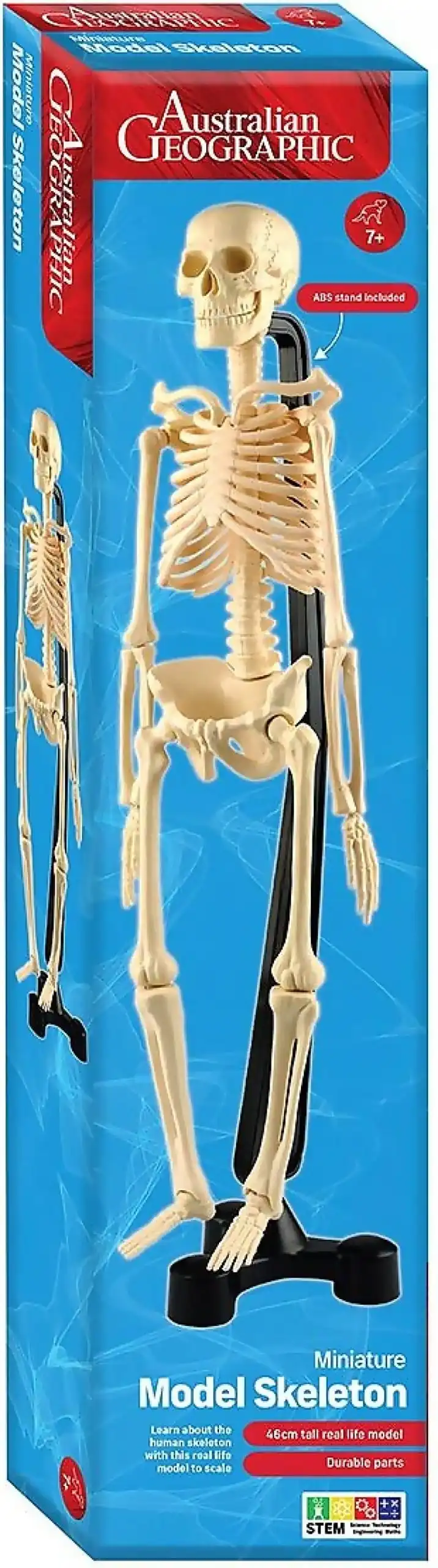 Australian Geographic - Mini Skeleton 46cm