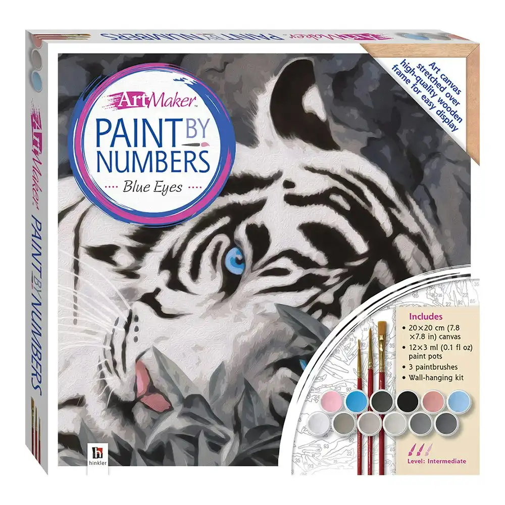 Art Maker Paint by Numbers Canvas Blue Eyes Painting Set Craft Activity 14y+