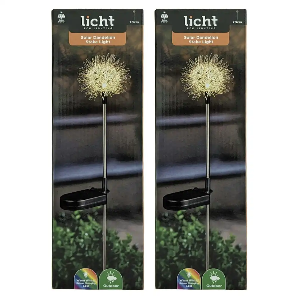 2PK Licht Eco Lighting Solar Dandelion Light Colour Changing Warm WHT LED 70cm