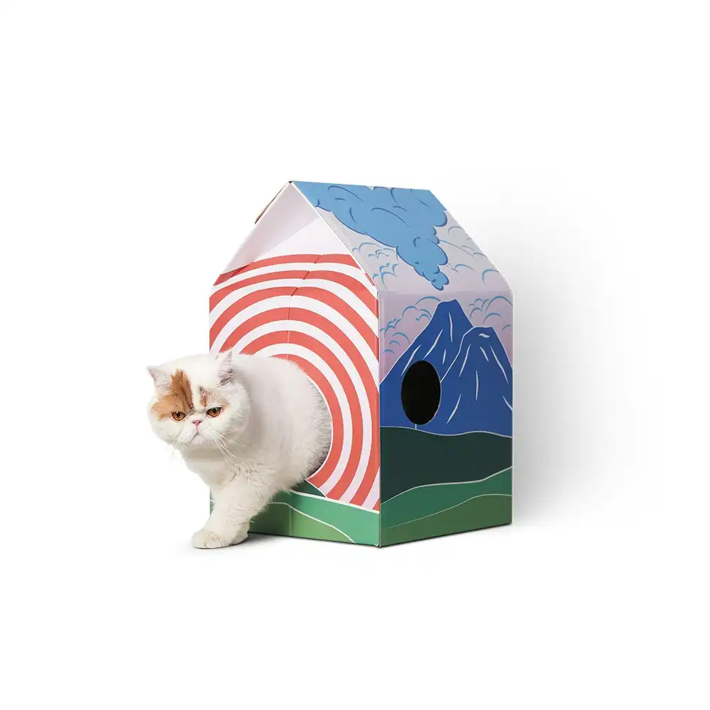 Pidan Multi-Purpose Cat Scratcher Catching House Hut Fun Play Furniture Fuji
