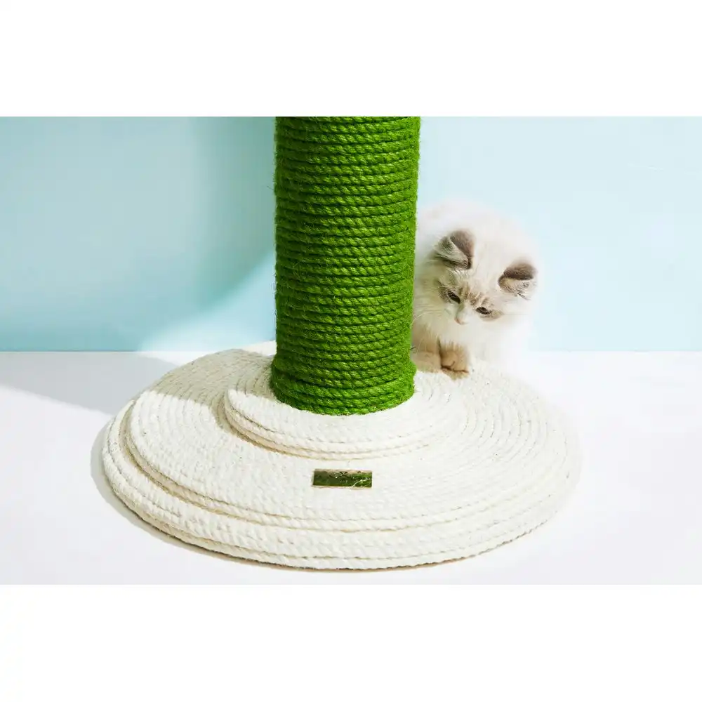 Vetreska Pet Cat 80x37cm Mini Cactus Scratching Tree Furniture Scratcher Green