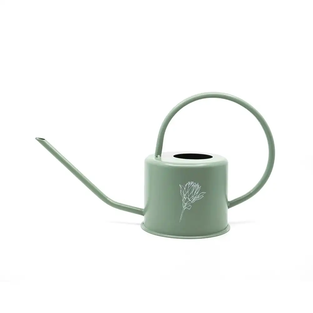 Rayell Homewares Metal Decorative Watering Can Bloom Olive 36x18cm Home Decor