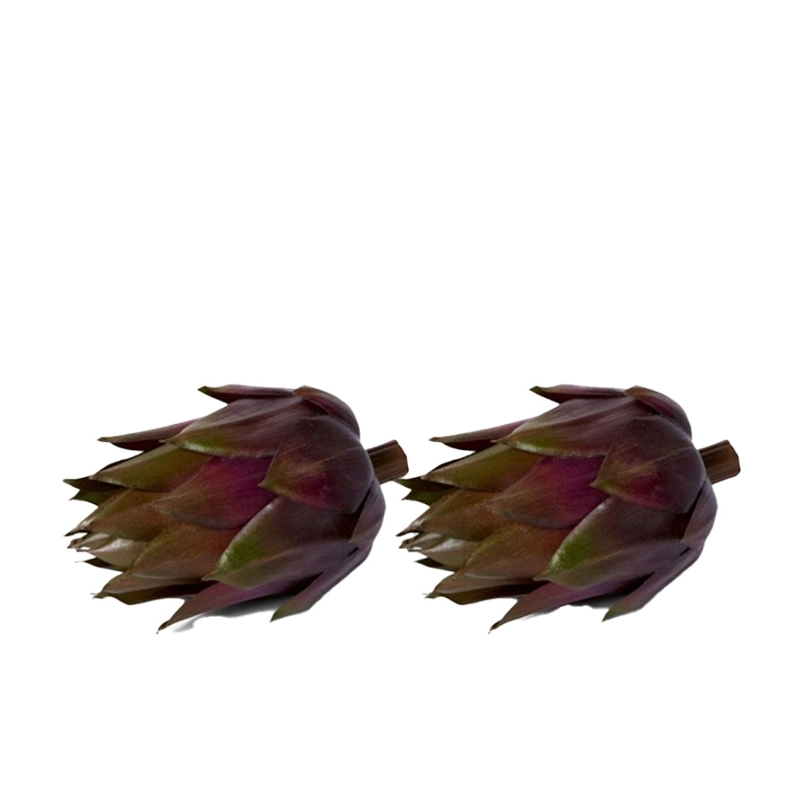 2x E Style 13cm Plastic Artichoke Fruit Ornament Tabletop Decor Green Brown