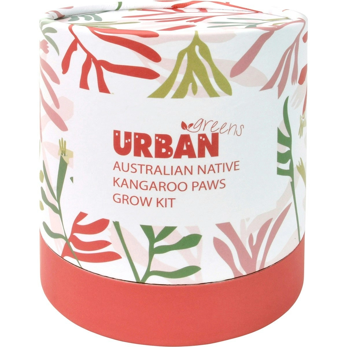 URBAN GREENS Australian Native Grow Kit Kangaroo Paws 1