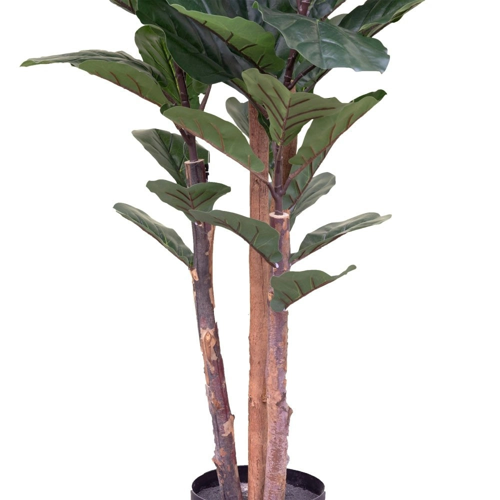 Glamorous Fusion Fiddle Plant 150cm Artificial Faux Plant Tree Decorative Green