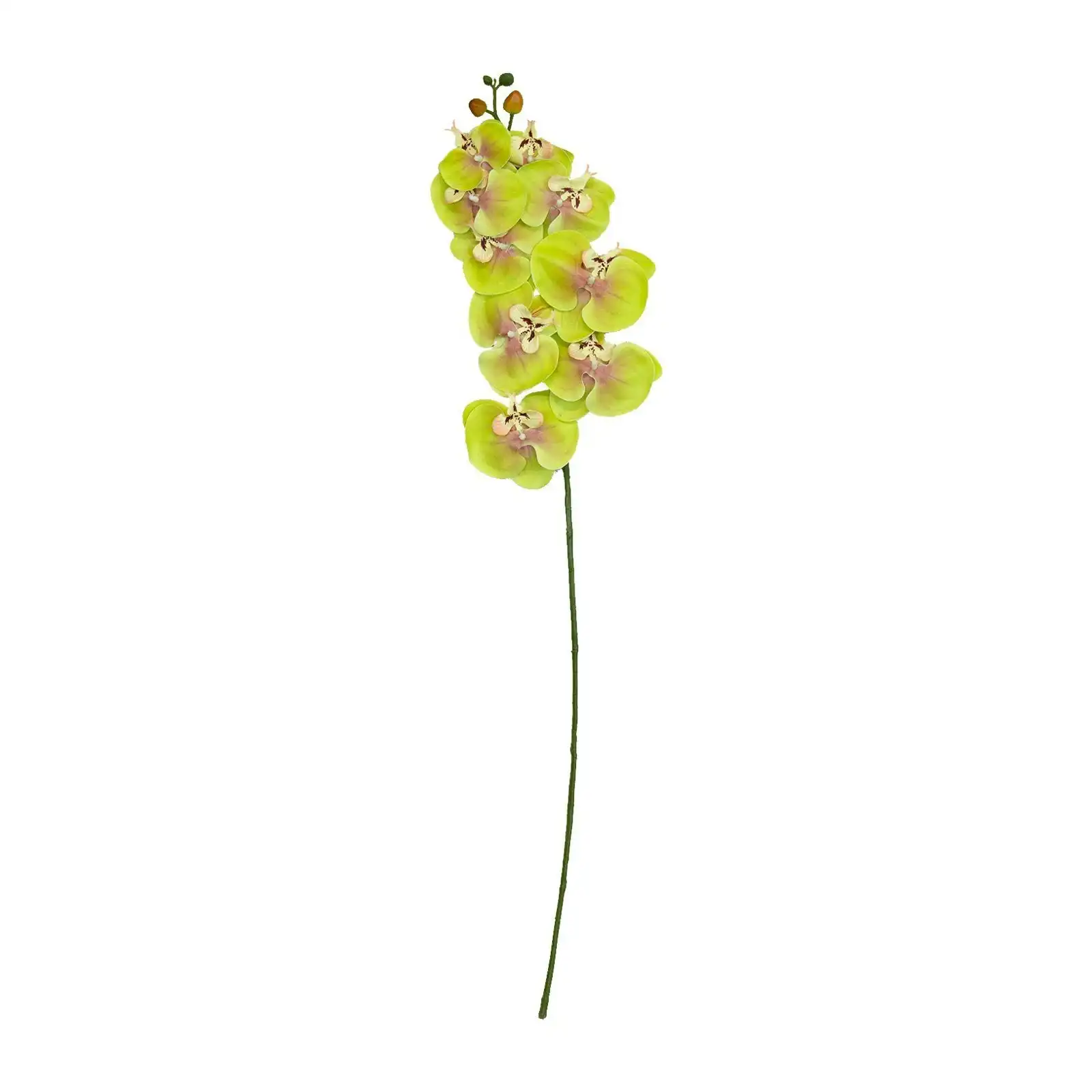 Artificial Green Orchid Stem 95cm